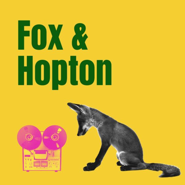 Image of a fox looking curiously at a reel to reel tape machine