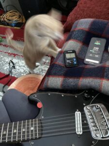 clara's cat, koobee, jumping onto the couch where clara is playing guitar with a metronome and phone