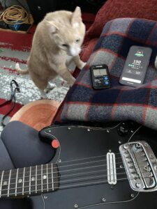 clara's cat with his two front paws on the couch where clara is sitting with her guitar