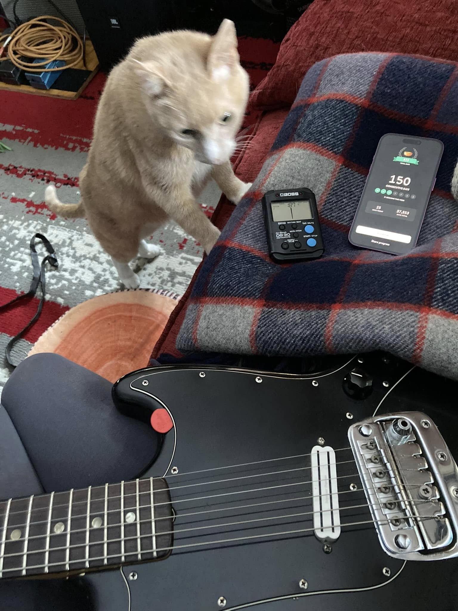 clara's cat with his two front paws on the couch where clara is sitting with her guitar